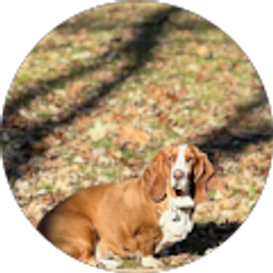 Profile photo of Bryan Whited