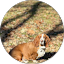 Profile photo of Bryan Whited