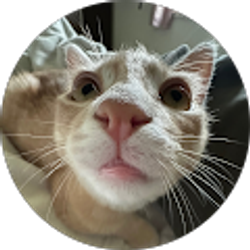 Profile photo of Melody Willard