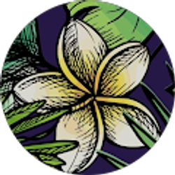 Profile photo of Kristynlei1979