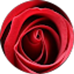 Profile photo of Anne Dewees