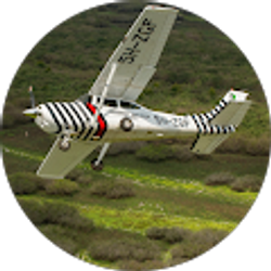 Profile photo of Flying Felix