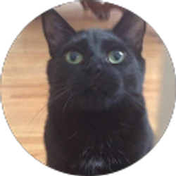 Profile photo of Marlena Cupp