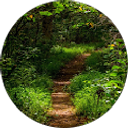 Profile photo of carolyn payne