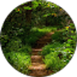 Profile photo of carolyn payne