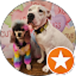 Profile photo of Alexandria lynn