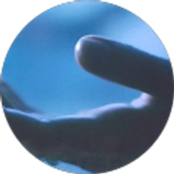 Profile photo of 魯V