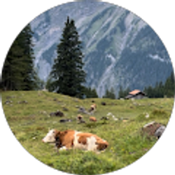 Profile photo of Michelle Childers