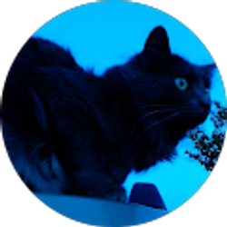 Profile photo of Marlena Boyce