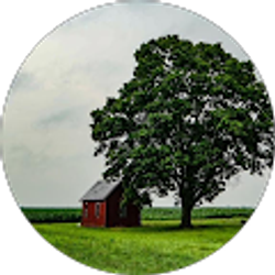 Profile photo of Barbara Schutter