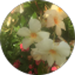 Profile photo of leada edmund