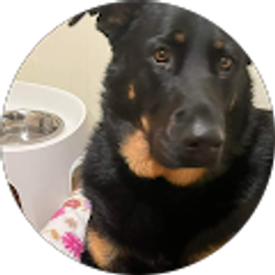 Profile photo of J Kennedy