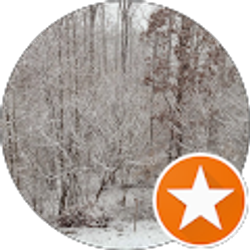 Profile photo of Robert Shonce