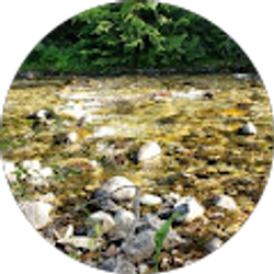 Profile photo of L Kimball