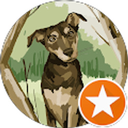 Profile photo of Melissa Williams