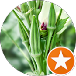 Profile photo of Joel Brian Isaac Jr.