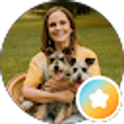 Profile photo of Allison Beck