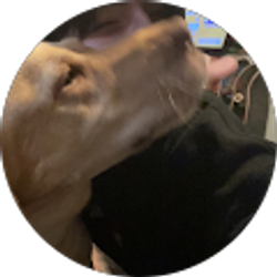 Profile photo of Dior Jones