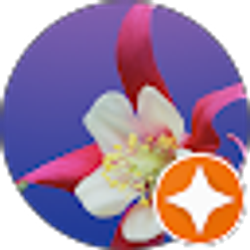 Profile photo of Diana Rengifo