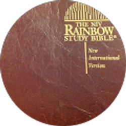 Profile photo of Adrienne Hairston