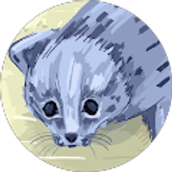 Profile photo of Terry