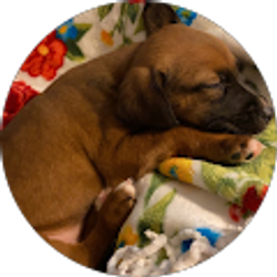 Profile photo of Dakota Farmer