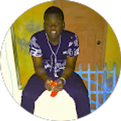 Profile photo of Nébert Saint-fleur