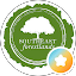 Profile photo of Southeast Forestlands, LLC