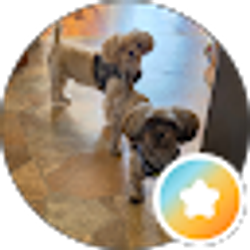 Profile photo of Cynthia