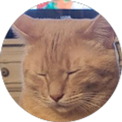 Profile photo of Dani