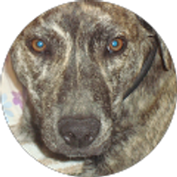 Profile photo of Cynthia Evans