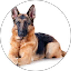 Profile photo of Kristy Bilac