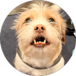 Profile photo of Heather Lumsden