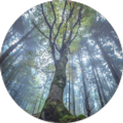 Profile photo of Khalil Mahmoud