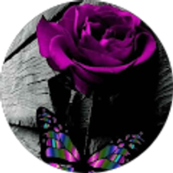 Profile photo of LaToya