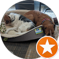 Profile photo of Adam