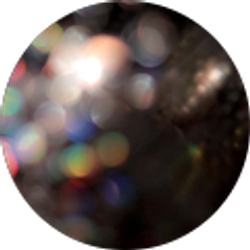 Profile photo of Alexus Hardy