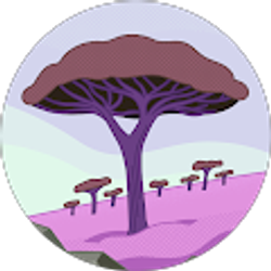 Profile photo of Nick Cirillo