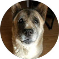 Profile photo of Traci Pellar