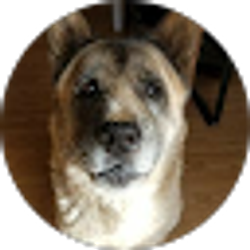 Profile photo of Traci Pellar