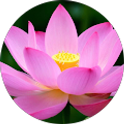 Profile photo of Emily Pascual