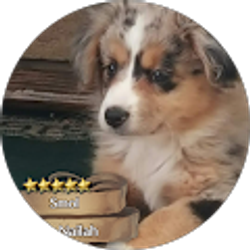 Profile photo of Tejas Dave