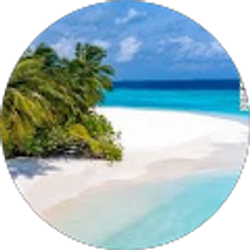 Profile photo of M. Rob