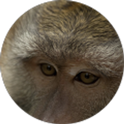 Profile photo of debbie perrenoud