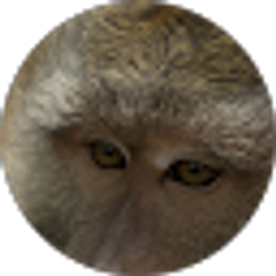 Profile photo of debbie perrenoud