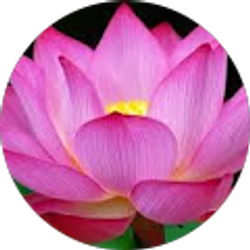 Profile photo of Luydmila Belitskaya