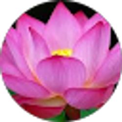 Profile photo of Luydmila Belitskaya