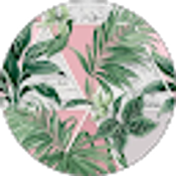 Profile photo of Allie Skafi