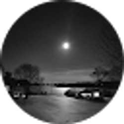 Profile photo of Derek Bupp