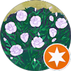 Profile photo of Jasmine Thuc